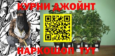 ГАЛЛЮЦИНОГЕННЫЕ ГРИБЫ Кингисепп