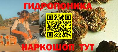 дмт Кимры