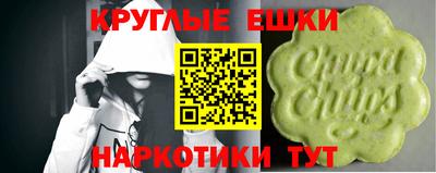 ГАЛЛЮЦИНОГЕННЫЕ ГРИБЫ Кингисепп