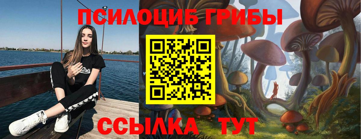 Галлюциногенные грибы Psilocybe  Вход с VPN  Псилоцибиновые грибы GOLDEN TEACHER  Евпатория 